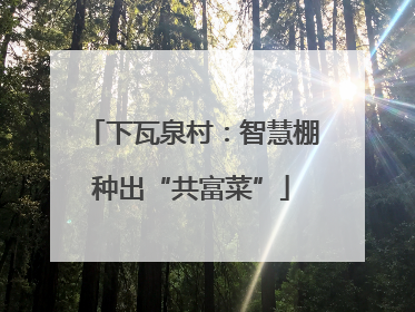 下瓦泉村：智慧棚种出“共富菜”