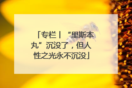 专栏丨“里斯本丸”沉没了，但人性之光永不沉没