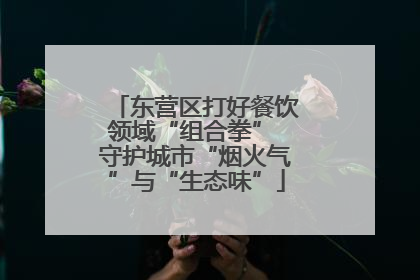 东营区打好餐饮领域“组合拳” 守护城市“烟火气”与“生态味”