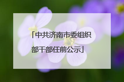 中共济南市委组织部干部任前公示