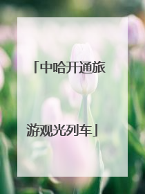 中哈开通旅游观光列车