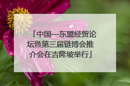 中国—东盟经贸论坛暨第三届链博会推介会在吉隆坡举行