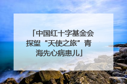 中国红十字基金会探望“天使之旅”青海先心病患儿