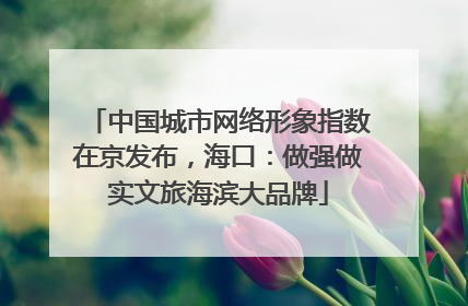 中国城市网络形象指数在京发布，海口：做强做实文旅海滨大品牌