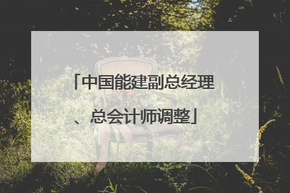 中国能建副总经理、总会计师调整