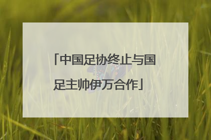 中国足协终止与国足主帅伊万合作