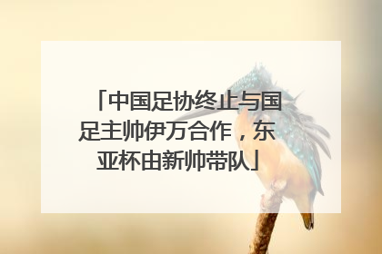 中国足协终止与国足主帅伊万合作，东亚杯由新帅带队