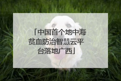 中国首个地中海贫血防治智慧云平台落地广西