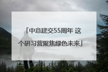 中意建交55周年 这个研习营聚焦绿色未来