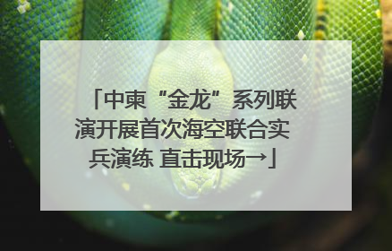 中柬“金龙”系列联演开展首次海空联合实兵演练 直击现场→