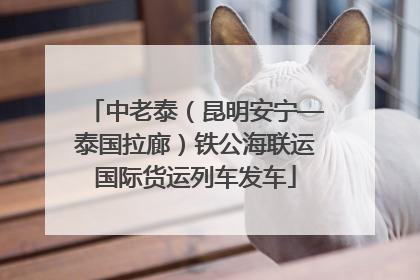 中老泰（昆明安宁—泰国拉廊）铁公海联运国际货运列车发车