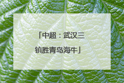 中超：武汉三镇胜青岛海牛