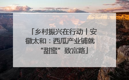乡村振兴在行动丨安徽太和：西瓜产业铺就“甜蜜”致富路