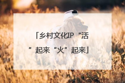 乡村文化IP“活”起来“火”起来