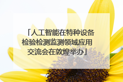 人工智能在特种设备检验检测监测领域应用交流会在敦煌举办