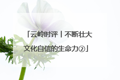 云岭时评丨不断壮大文化自信的生命力②