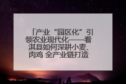 产业“园区化”引领农业现代化——看淇县如何深耕小麦、肉鸡 全产业链打造现代农业产业园