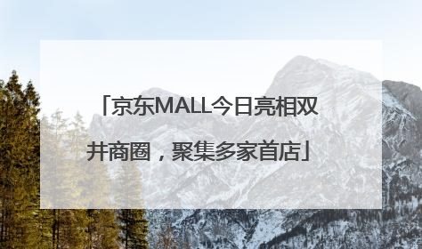 京东MALL今日亮相双井商圈，聚集多家首店