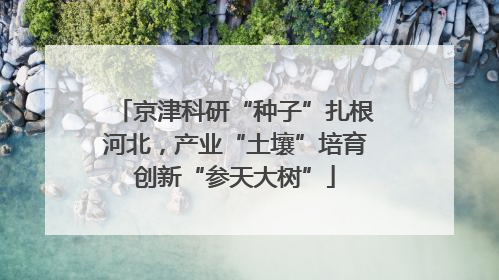 京津科研“种子”扎根河北，产业“土壤”培育创新“参天大树”