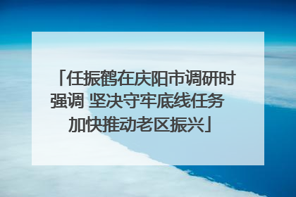 任振鹤在庆阳市调研时强调 坚决守牢底线任务 加快推动老区振兴