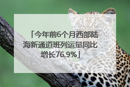 今年前6个月西部陆海新通道班列运量同比增长76.9%