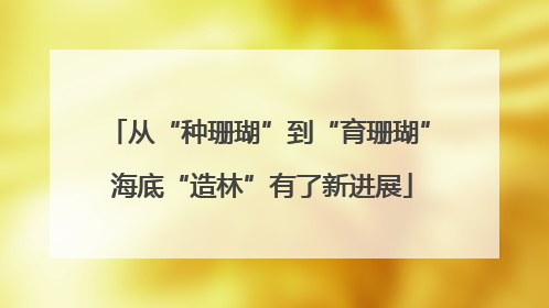 从“种珊瑚”到“育珊瑚” 海底“造林”有了新进展