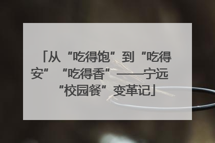 从“吃得饱”到“吃得安”“吃得香”——宁远“校园餐”变革记