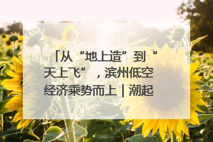 从“地上造”到“天上飞”，滨州低空经济乘势而上｜潮起渤海・网聚黄蓝