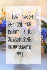 从“水泥灰”到“环保绿”！北湖这家企业实现低碳转型