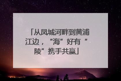 从凤城河畔到黄浦江边，“海”好有“陵”携手共赢