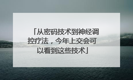 从密码技术到神经调控疗法，今年上交会可以看到这些技术