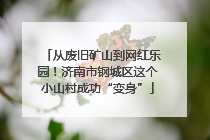 从废旧矿山到网红乐园！济南市钢城区这个小山村成功“变身”