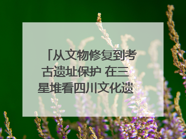 从文物修复到考古遗址保护 在三星堆看四川文化遗产焕发新光彩｜您牵挂的四川