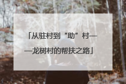 从驻村到“助”村——龙树村的帮扶之路