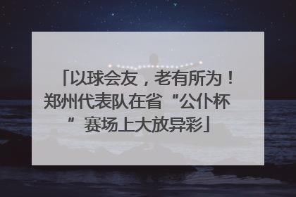 以球会友，老有所为！郑州代表队在省“公仆杯”赛场上大放异彩