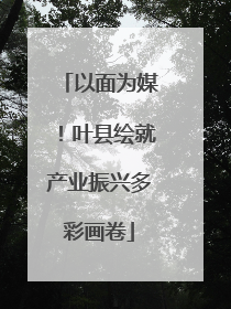 以面为媒！叶县绘就产业振兴多彩画卷