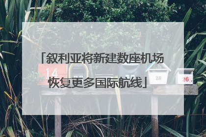 叙利亚将新建数座机场 恢复更多国际航线