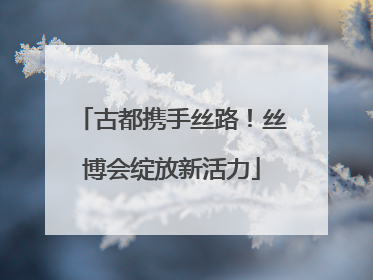 古都携手丝路！丝博会绽放新活力
