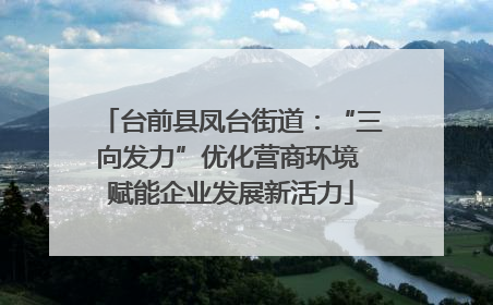 台前县凤台街道：“三向发力”优化营商环境 赋能企业发展新活力