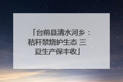 台前县清水河乡：秸秆禁烧护生态 三夏生产保丰收