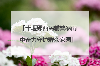 十堰郧西民辅警暴雨中奋力守护群众家园
