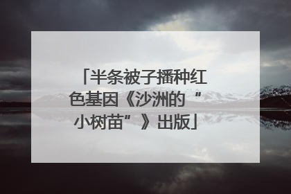 半条被子播种红色基因《沙洲的“小树苗”》出版