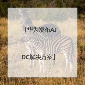华为发布AI DC解决方案