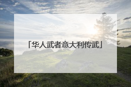 华人武者意大利传武