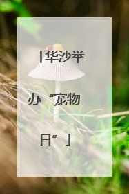 华沙举办“宠物日”