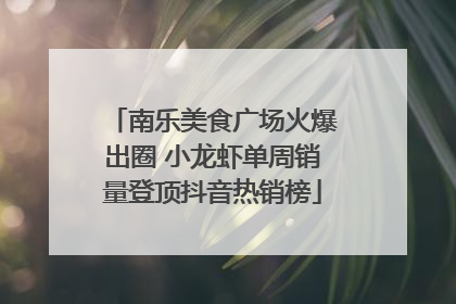 南乐美食广场火爆出圈 小龙虾单周销量登顶抖音热销榜