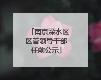 南京溧水区区管领导干部任前公示