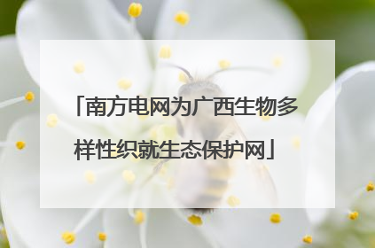 南方电网为广西生物多样性织就生态保护网