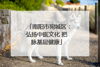 南阳市宛城区：弘扬中医文化 把脉基层健康