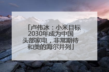 卢伟冰：小米目标2030年成为中国头部家电，非常期待和美的海尔并列